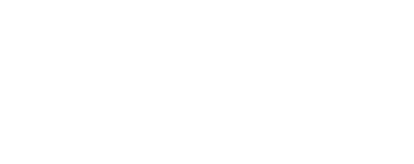 Velkora Consulting